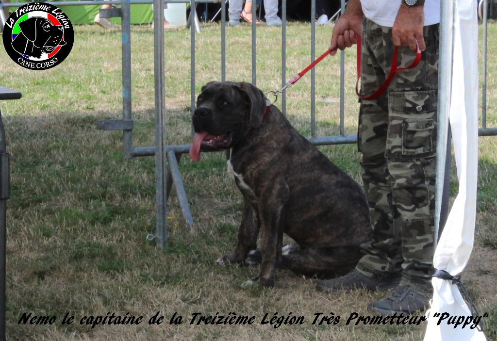 De la Treizieme Legion - Première Exposition pour Nemo le capitaine de la Treizième Légion