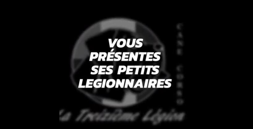 De la Treizieme Legion - La vie de nos chiots à l'élevage