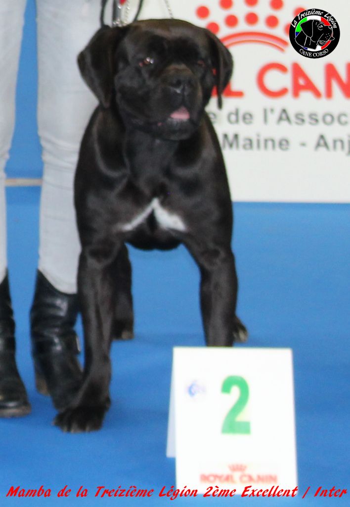 De la Treizieme Legion - Mamba à Angers 