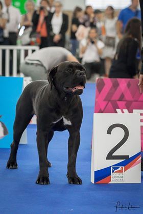 De la Treizieme Legion - Championnat de France 