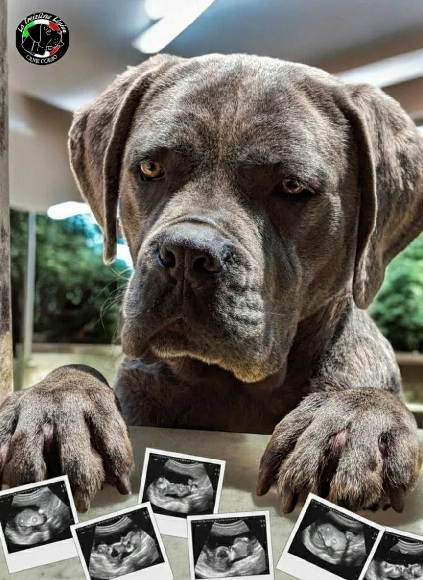 Première Naissance 2026 en Mars