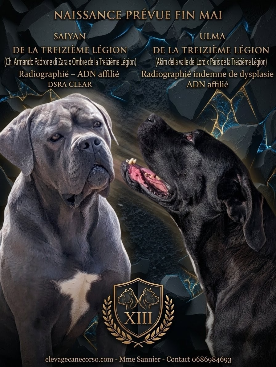 Des chiots pour le mois de Mai