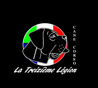 Baïus de la Treizième Légion